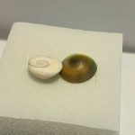 مهره هندی - Indian bead - Image 2